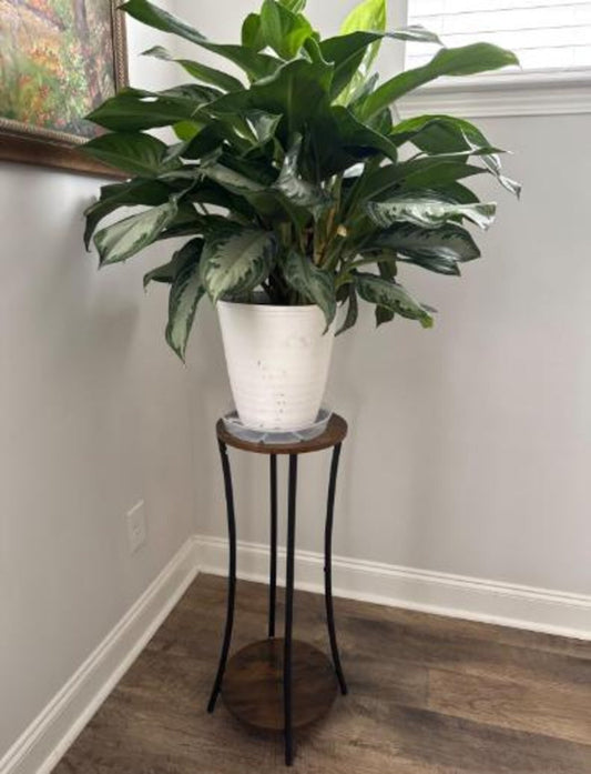 2 Tier Metal Wood Plant Stand, Indoor Plant Stand