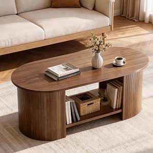 2-Tier Oval Coffee Table with Storage