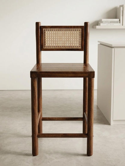 Mid-Century Modern Counter Height Chairs